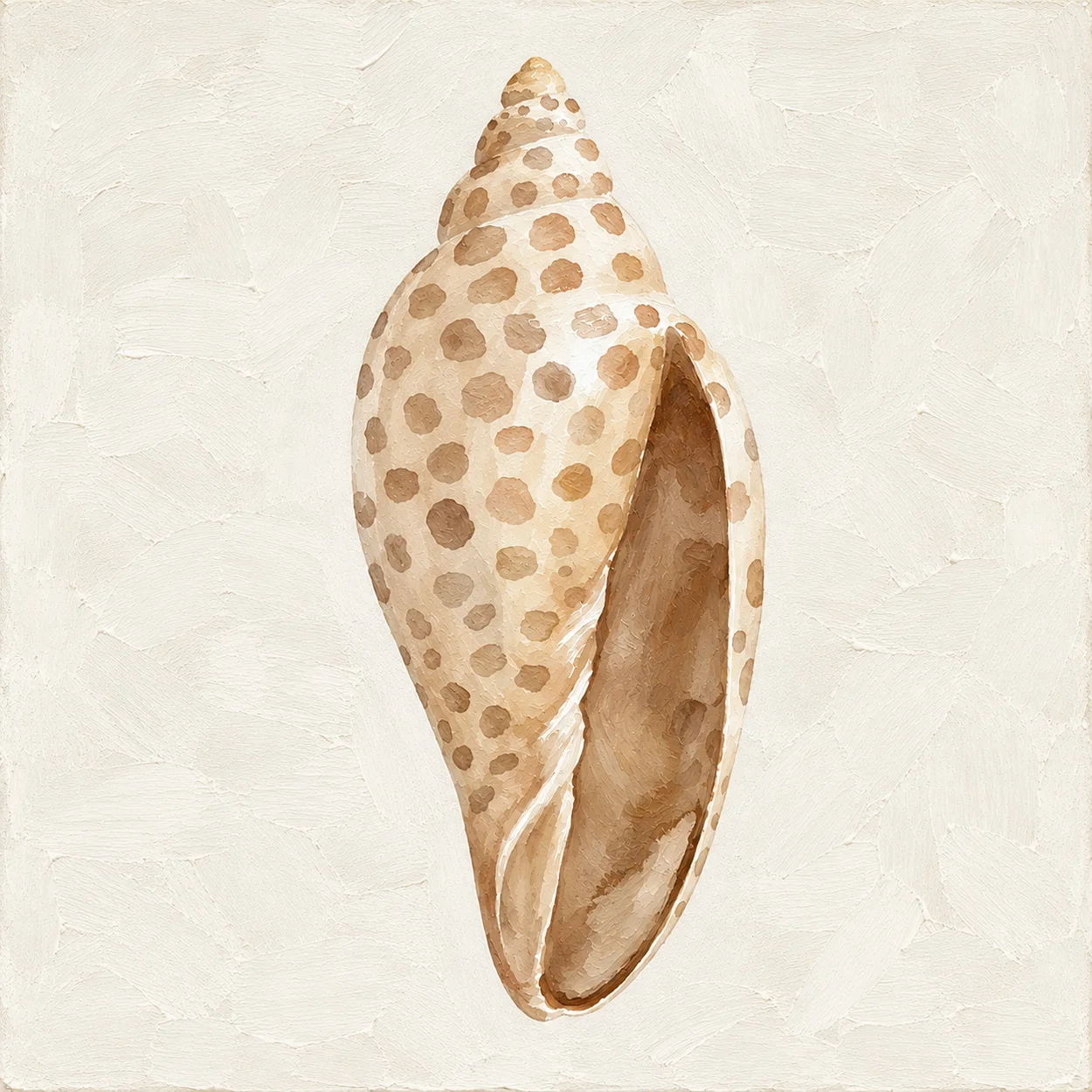 Caracol B