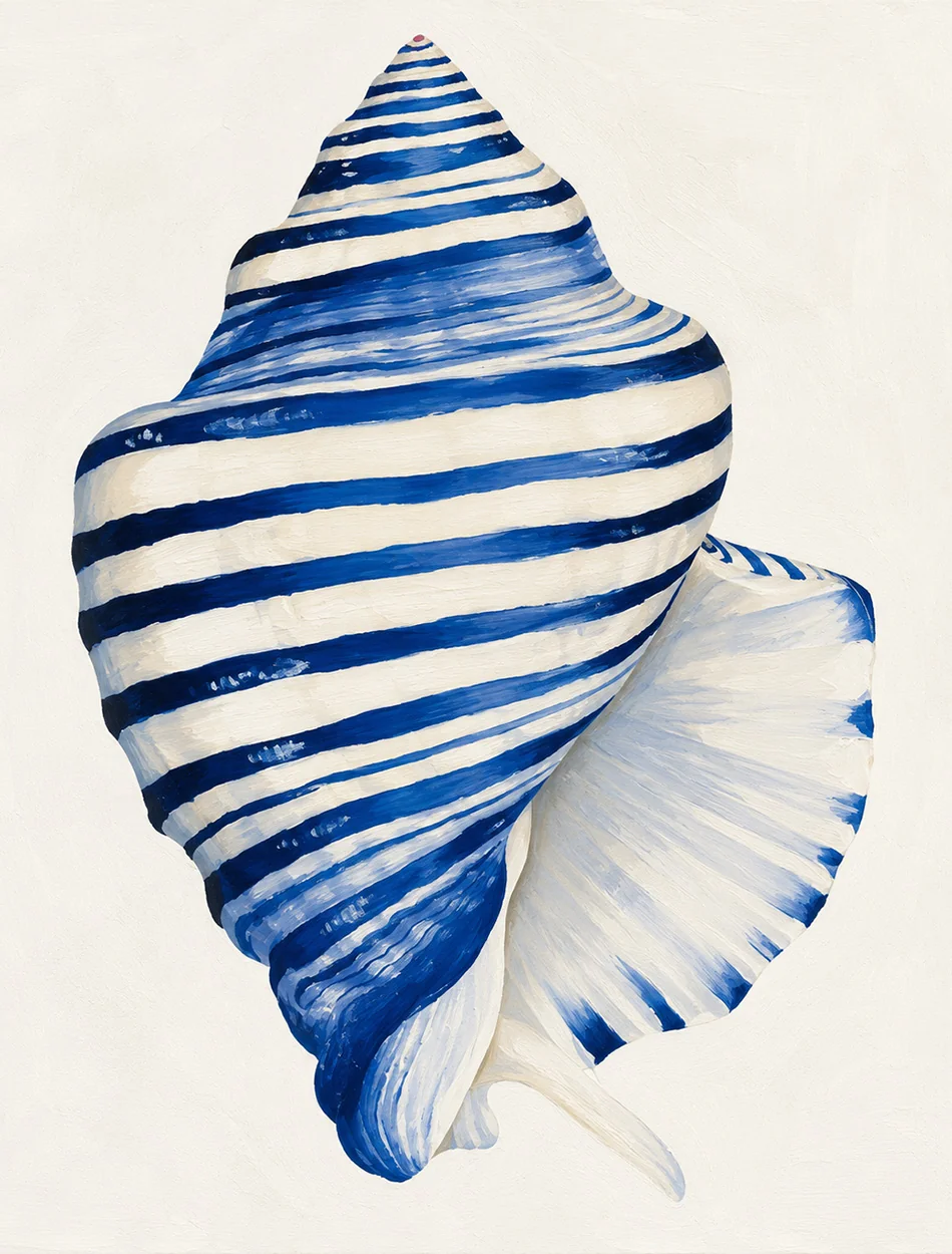 Caracol azul